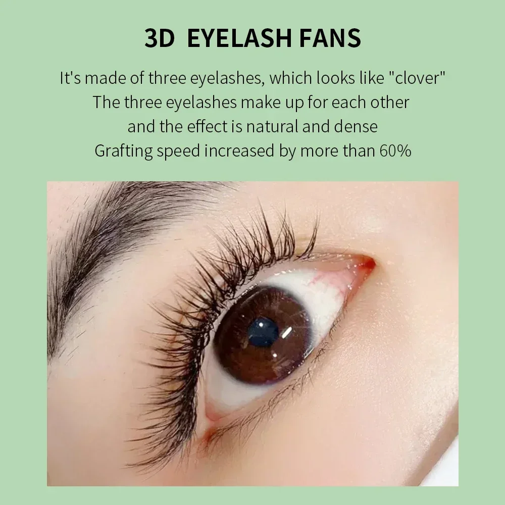 GLAMLASH 3D W Three-Core Shape - Eyelash Extension For Asian Eyes avaliação e preço