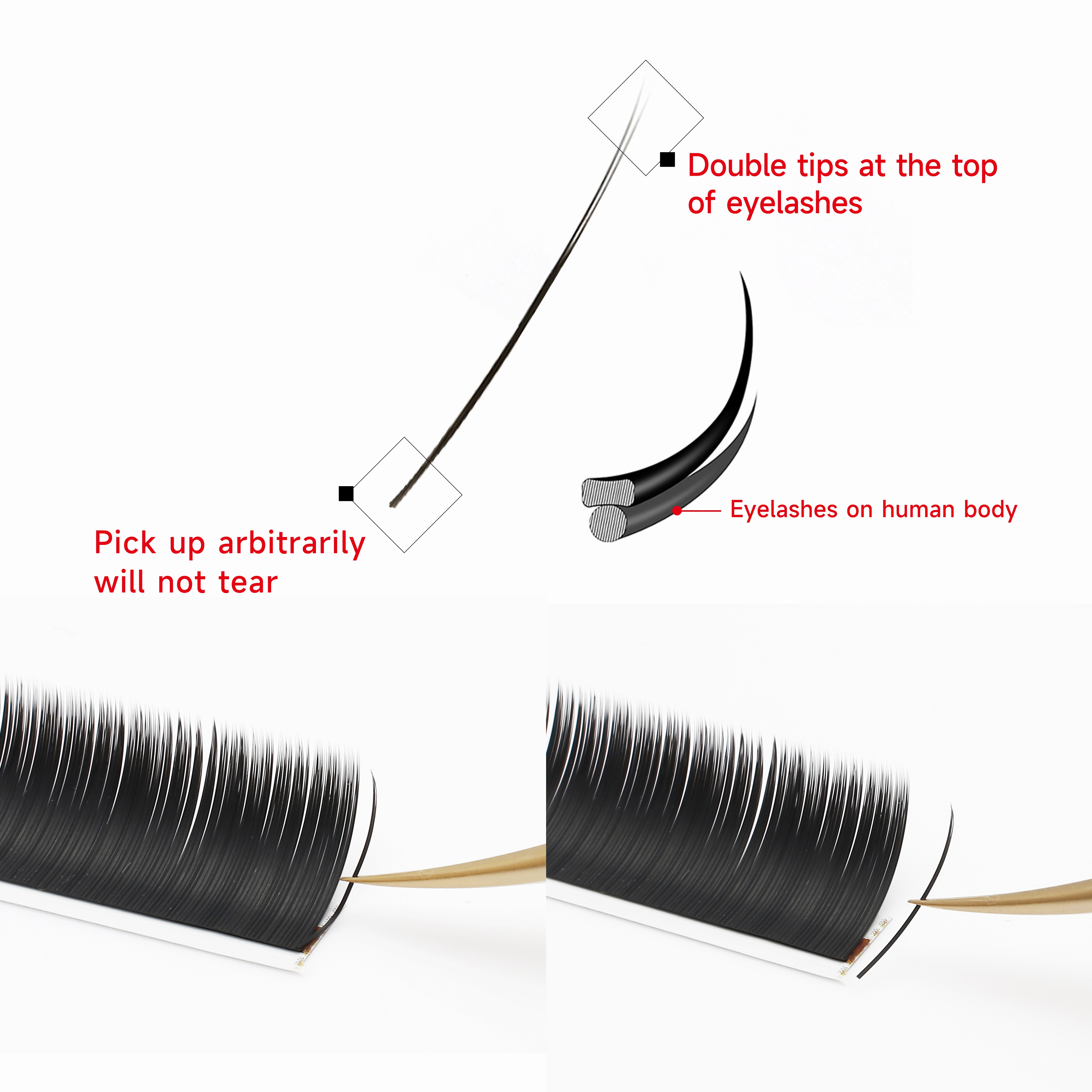 XIUSUZAKI Flat Ellipse Eyelash - Eyelash Extension For Asian Eyes avaliação e preço